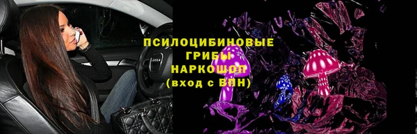 спайс Богданович