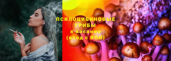 синтетический гашиш Богородицк