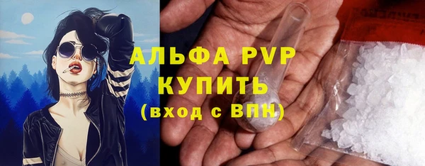 спайс Богданович