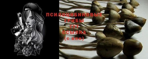 твердый Богородск