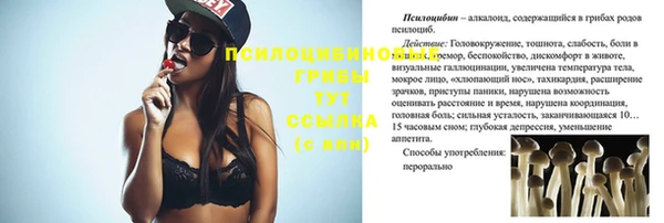 спайс Богданович