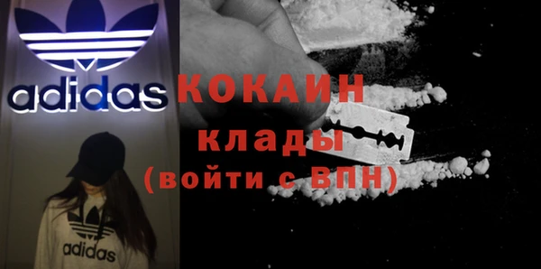 спайс Богданович