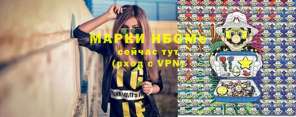 спайс Богданович