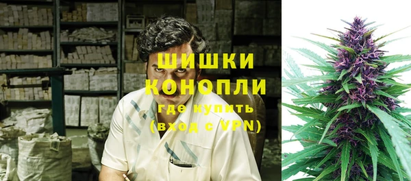 спайс Богданович