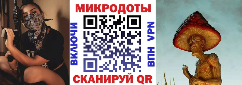 Купить где  Данилов  Галлюциногенные грибы Magic Shrooms 